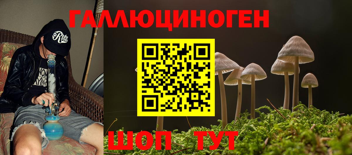 Псилоцибиновые грибы Cubensis  Вход с VPN  Кинель 