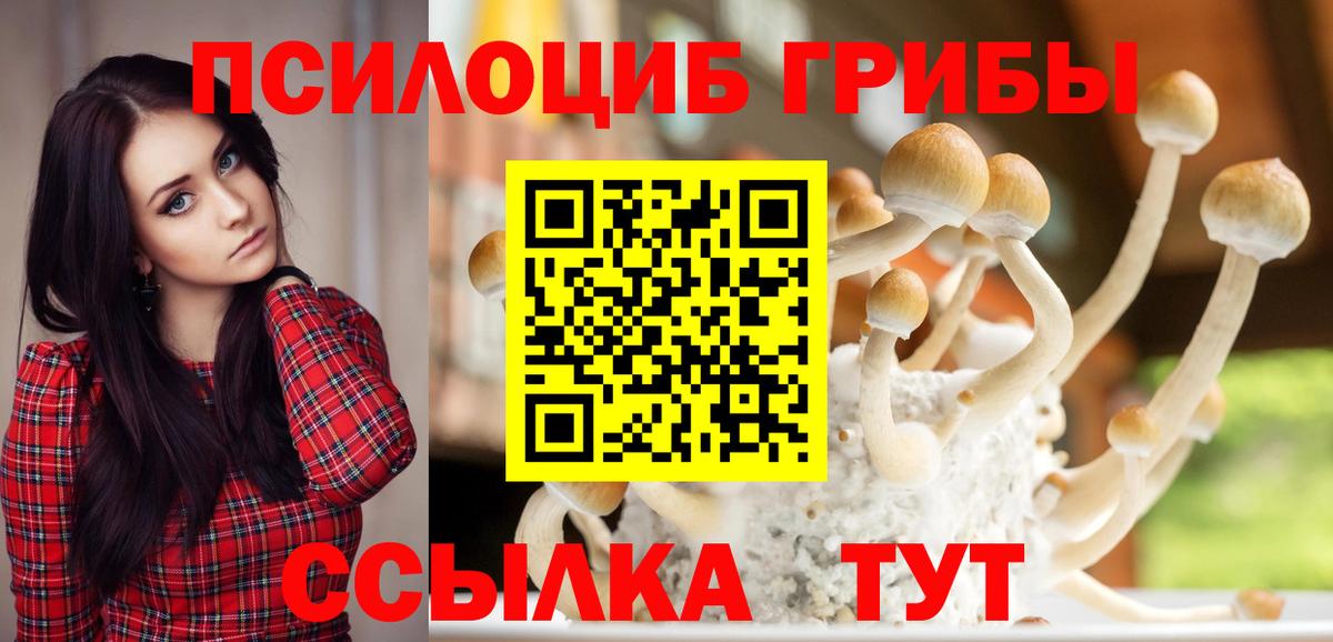 Псилоцибиновые грибы Psilocybine cubensis Кинель