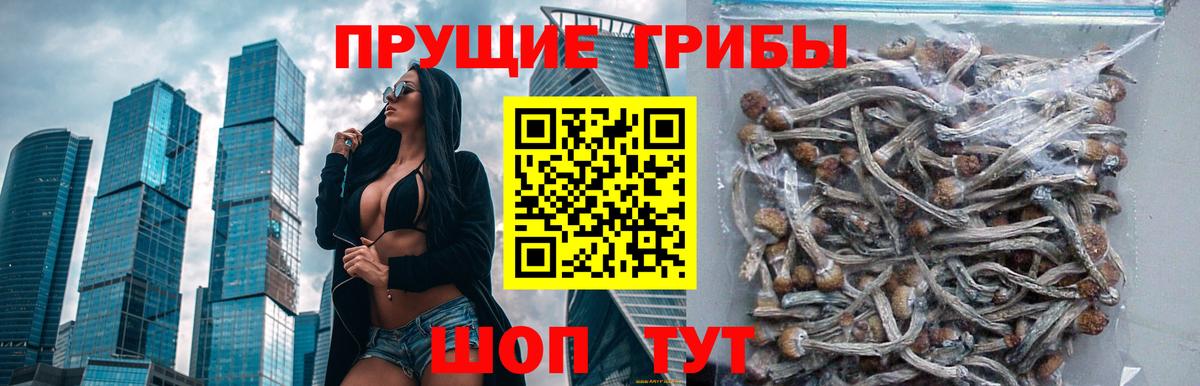 Псилоцибиновые грибы Magic Shrooms Кинель