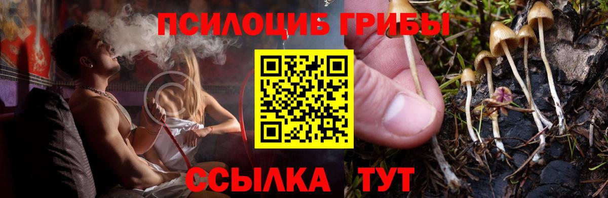 Псилоцибиновые грибы Magic Shrooms  дарнет шоп  Кинель 