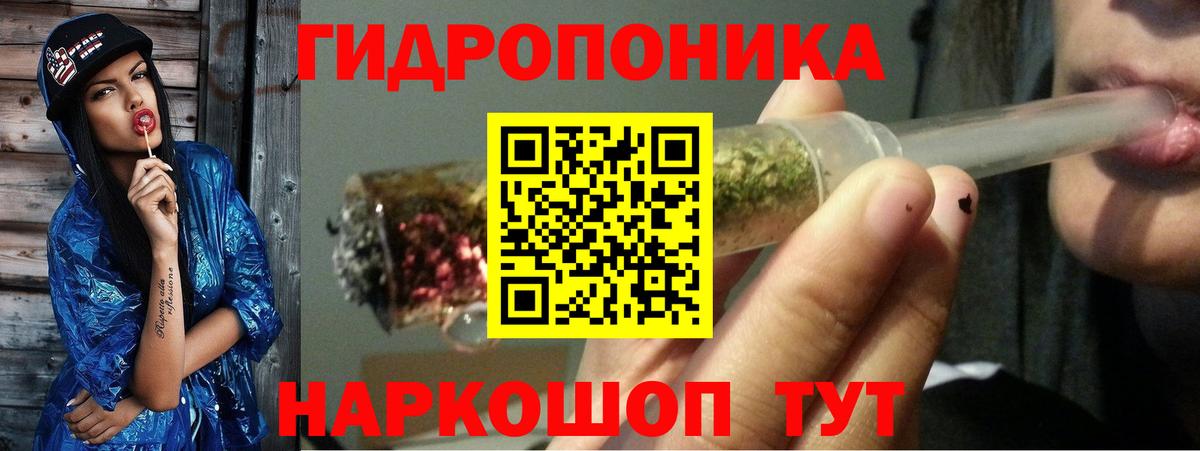 Бошки Шишки White Widow  Вход с VPN  Шишки марихуана гибрид  Шишки марихуана THC 21%  Кинель 